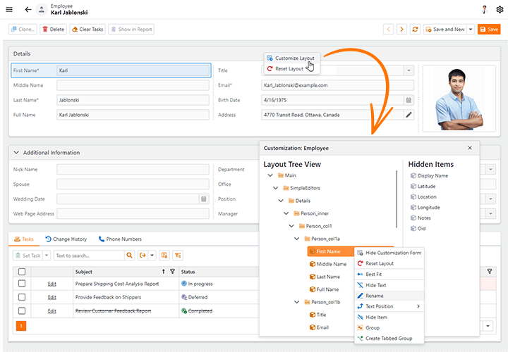 Blazor App - Form Layout User Customization, DevExpress XAF