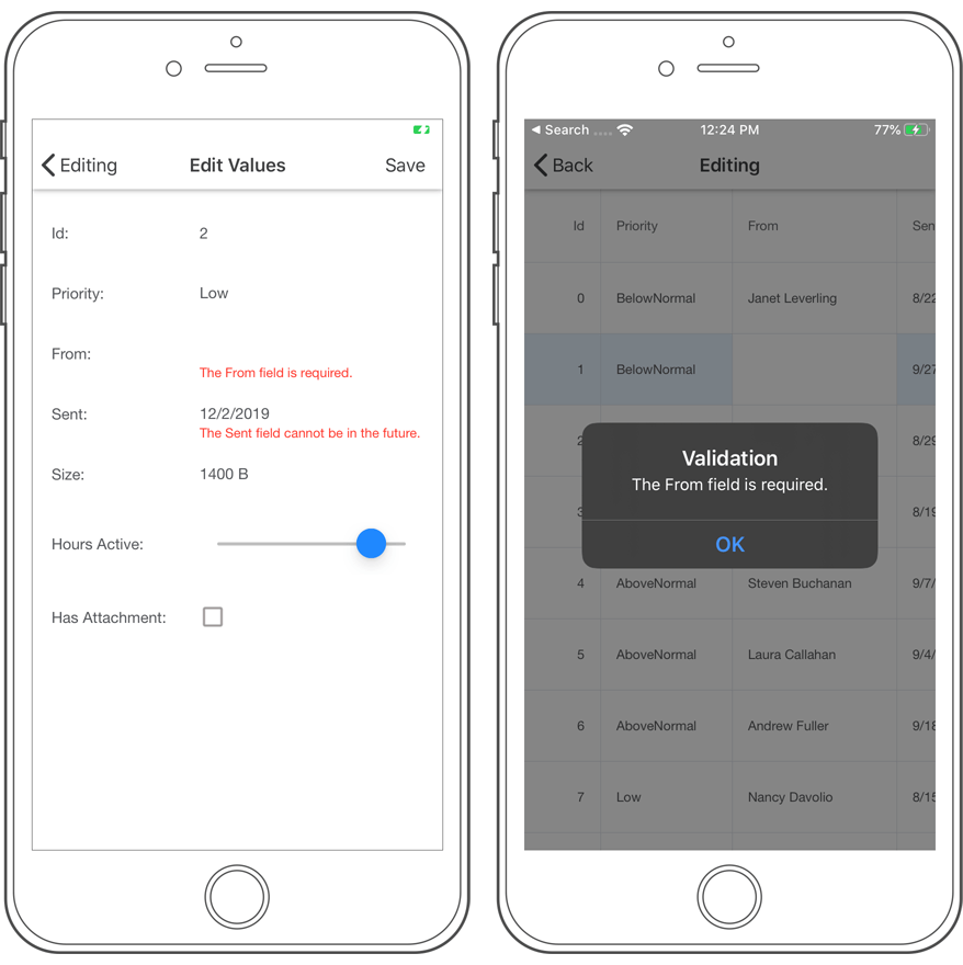 Input Validation - Xamarin.Forms Data Grid, DevExpress