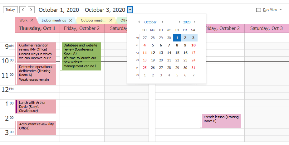 Dropdown Calendar - WinForms Scheduler Control | DevExpress