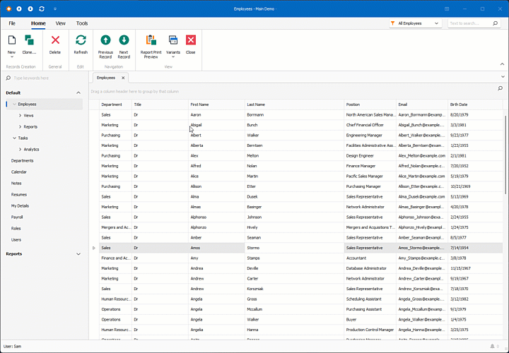 UI/UX Customization - Employee Management, XAF WinForms | DevExpress