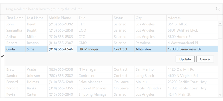 Edit Entire Row - WPF Data Grid, DevExpress