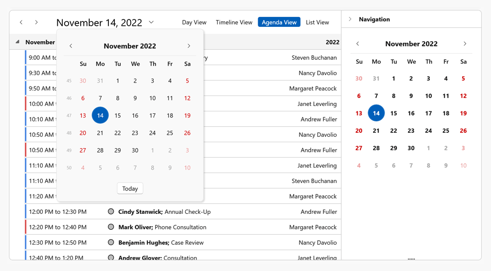 Date Navigation Panel - WPF Scheduler, DevExpress