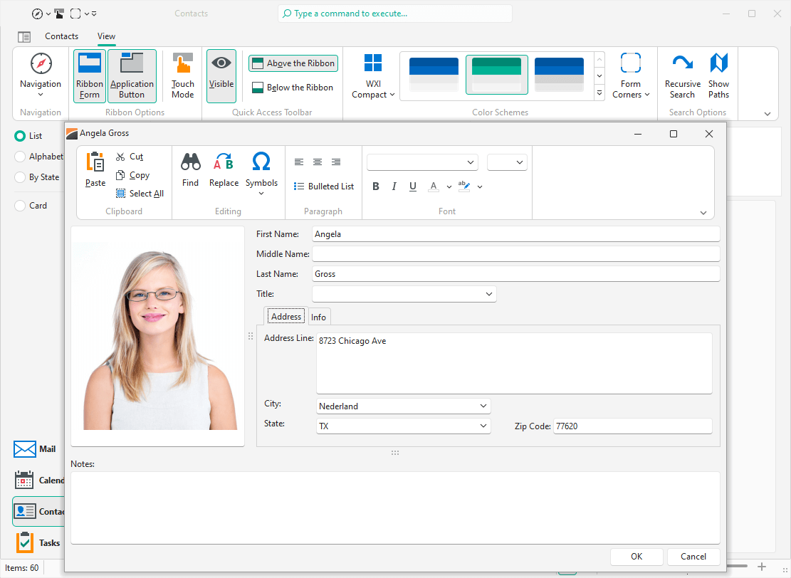 Windows 11 (WXI) Compact Skin - VCL Components, DevExpress